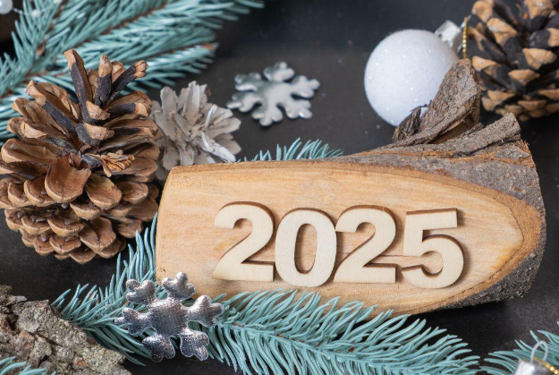 Astrolog tvrdi da će 2025. biti