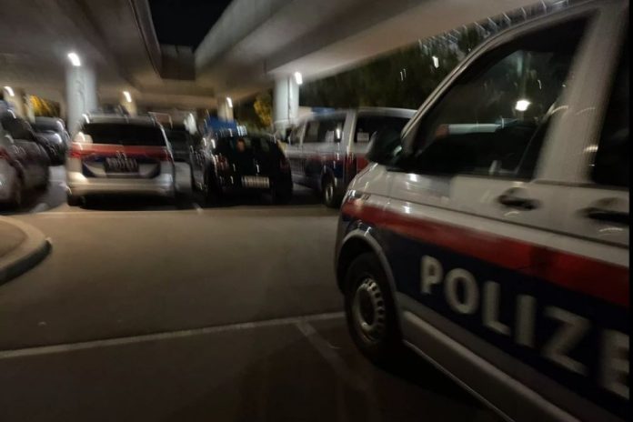 Bečka policija uhapsila Srbina koji je 10 godina zlostavljao porodicu