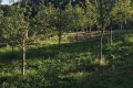 Prodaja: Vikendica u Dobropolju-Mekišu Prodaja: Vikendica u Dobropolju-Mekišu