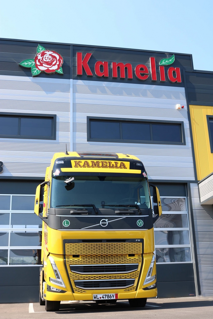 KAMELIA: Potrebni radnici KAMELIA: Potrebni radnici